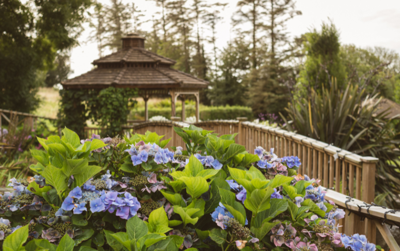 Fernhill House Hotel & Gardens