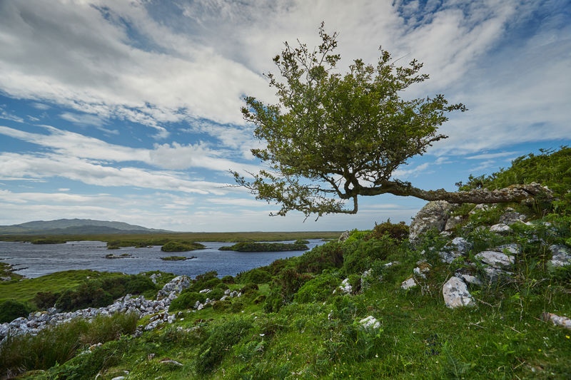 blog connemara