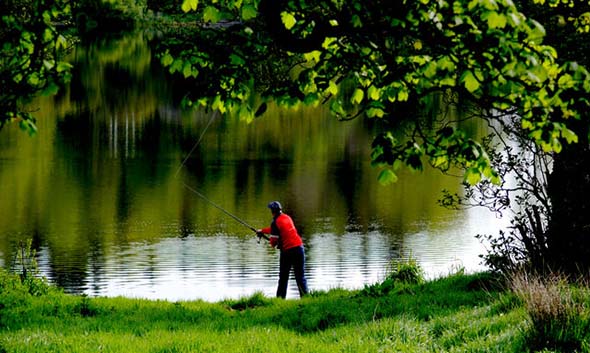 Lough Muckno Leisure Park
