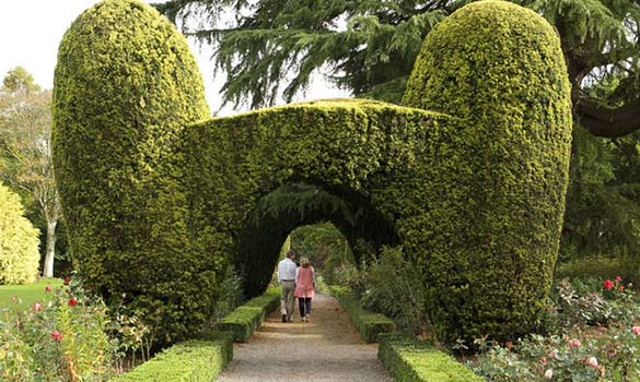Altamont Gardens