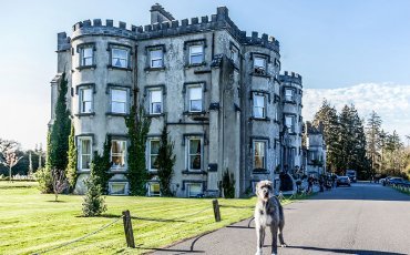 ballyseede-castle-hotel